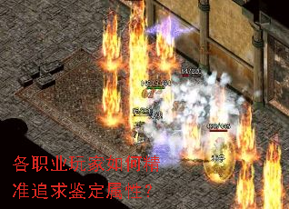 ��ְҵ�����ξ�׼׷��������ԣ�