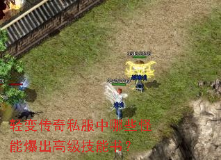 轻变传奇私服中哪些怪能爆出高级技能书? 轻变传奇私服中哪些怪能爆出高级技能书?