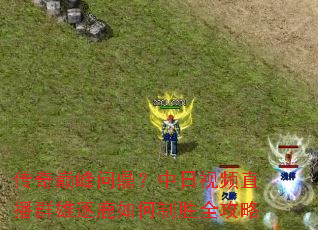 传奇巅峰问鼎?中日视频直播群雄逐鹿如何制胜全攻略 传奇巅峰问鼎?中日视频直播群雄逐鹿如何制胜全攻略