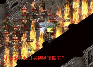 哪里能打到召唤麒麟技能书? 哪里能打到召唤麒麟技能书?