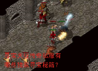 寻宝天行传奇私服有哪些独家寻宝秘籍? 寻宝天行传奇私服有哪些独家寻宝秘籍?
