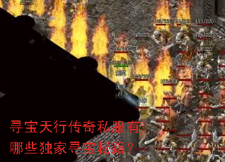 寻宝天行传奇私服有哪些独家寻宝秘籍? 寻宝天行传奇私服有哪些独家寻宝秘籍?