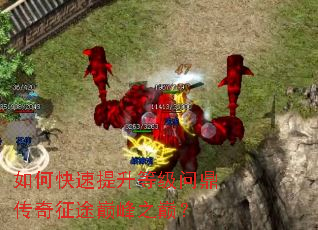 如何快速提升等级问鼎传奇征途巅峰之巅? 如何快速提升等级问鼎传奇征途巅峰之巅?