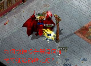 如何快速提升等级问鼎传奇征途巅峰之巅? 如何快速提升等级问鼎传奇征途巅峰之巅?
