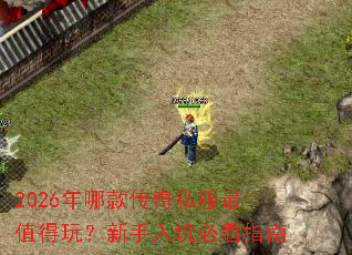 2026年哪款传奇私服最值得玩?新手入坑必看指南 2026年哪款传奇私服最值得玩?新手入坑必看指南
