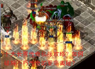 十大长青传奇私服攻略?如何破解不朽传奇的至高奥秘? 十大长青传奇私服攻略?如何破解不朽传奇的至高奥秘?