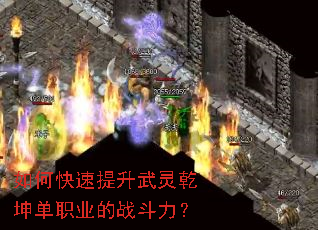 如何快速提升武灵乾坤单职业的战斗力? 如何快速提升武灵乾坤单职业的战斗力?