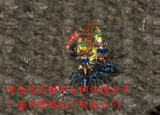 传奇微变新手如何快速上手?至尊攻略带你轻松入门 传奇微变新手如何快速上手?至尊攻略带你轻松入门