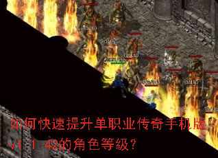 如何快速提升单职业传奇手机版v1.1.42的角色等级? 如何快速提升单职业传奇手机版v1.1.42的角色等级?
