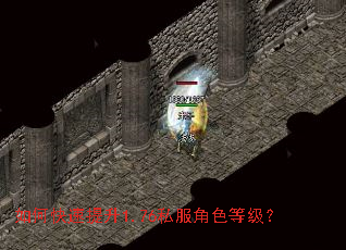 如何快速提升1.76私服角色等级? 如何快速提升1.76私服角色等级?