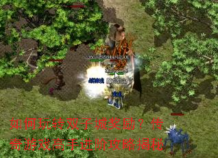 如何玩转双子城奖励?传奇游戏高手进阶攻略揭秘 如何玩转双子城奖励?传奇游戏高手进阶攻略揭秘