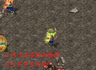 如何快速提升传奇游戏中的角色等级? 如何快速提升传奇游戏中的角色等级?