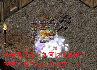传奇私服菜鸟如何快速成长为霸主?这些秘籍你掌握了吗? 传奇私服菜鸟如何快速成长为霸主?这些秘籍你掌握了吗?