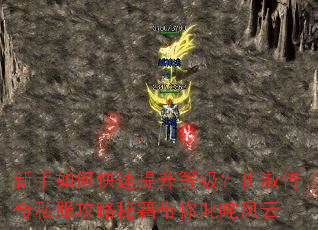 新手如何快速提升等级?班淑传奇私服攻略秘籍带你叱咤风云 新手如何快速提升等级?班淑传奇私服攻略秘籍带你叱咤风云