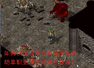 如何快速提升九天提升九天劫单职业地板的角色等级? 如何快速提升九天提升九天劫单职业地板的角色等级?