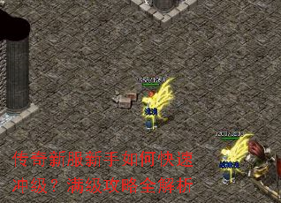 传奇新服新手如何快速冲级?满级攻略全解析 传奇新服新手如何快速冲级?满级攻略全解析