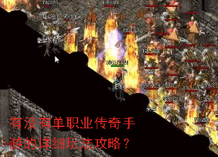 有没有单职业传奇手游的详细玩法攻略? 有没有单职业传奇手游的详细玩法攻略?