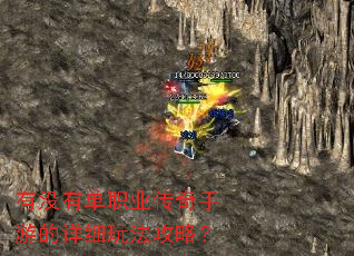 有没有单职业传奇手游的详细玩法攻略? 有没有单职业传奇手游的详细玩法攻略?