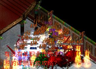 有没有单职业传奇手游的详细玩法攻略? 有没有单职业传奇手游的详细玩法攻略?