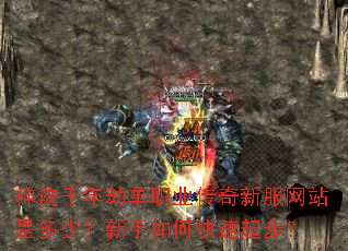 神迹千年劫单职业传奇新服网站是多少?新手如何快速起步? 神迹千年劫单职业传奇新服网站是多少?新手如何快速起步?