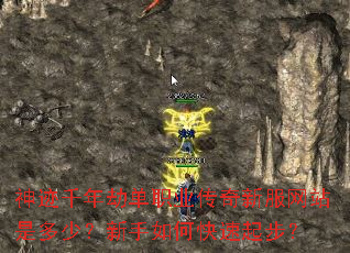 神迹千年劫单职业传奇新服网站是多少?新手如何快速起步? 神迹千年劫单职业传奇新服网站是多少?新手如何快速起步?