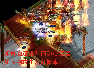 如何通过提升内功心法增加宠物攻击发狂概率? 如何通过提升内功心法增加宠物攻击发狂概率?