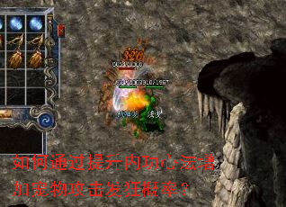 如何通过提升内功心法增加宠物攻击发狂概率? 如何通过提升内功心法增加宠物攻击发狂概率?