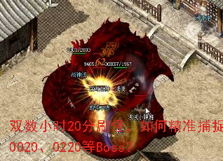 双数小时20分刷怪,如何精准捕捉0020、0220等Boss? 双数小时20分刷怪,如何精准捕捉0020、0220等Boss?