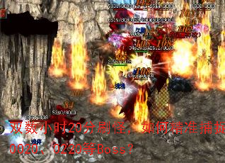 双数小时20分刷怪,如何精准捕捉0020、0220等Boss? 双数小时20分刷怪,如何精准捕捉0020、0220等Boss?