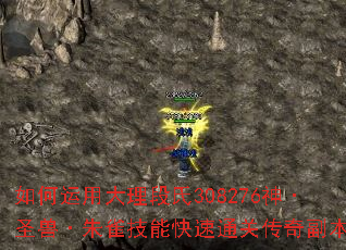 如何运用大理段氏308276神·圣兽·朱雀技能快速通关传奇副本? 如何运用大理段氏308276神·圣兽·朱雀技能快速通关传奇副本?