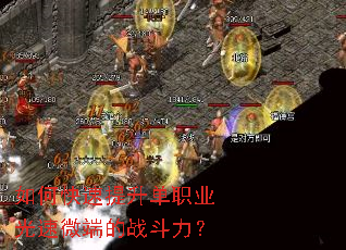 如何快速提升单职业光速微端的战斗力? 如何快速提升单职业光速微端的战斗力?