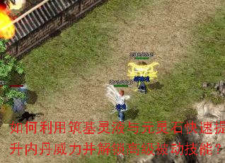 如何利用筑基灵液与元灵石快速提升内丹威力并解锁高级被动技能? 如何利用筑基灵液与元灵石快速提升内丹威力并解锁高级被动技能?