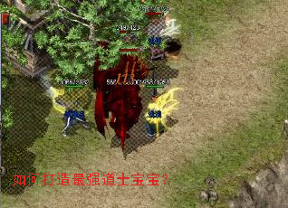 如何打造最强道士宝宝? 如何打造最强道士宝宝?