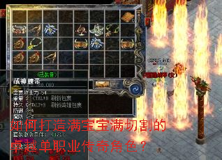 如何打造满宝宝满切割的卓越单职业传奇角色? 如何打造满宝宝满切割的卓越单职业传奇角色?