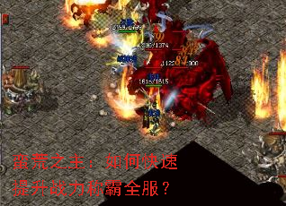 蛮荒之主:如何快速提升战力称霸全服? 蛮荒之主:如何快速提升战力称霸全服?