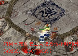如何高效刷取三大陆双数小时50分的0050、0250等BOSS? 如何高效刷取三大陆双数小时50分的0050、0250等BOSS?