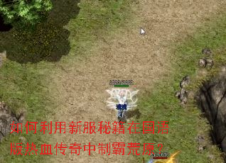 如何利用新服秘籍在国语版热血传奇中制霸荒原? 如何利用新服秘籍在国语版热血传奇中制霸荒原?