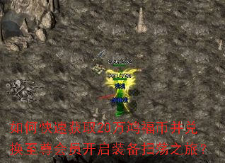 如何快速获取20万鸿福币并兑换至尊会员开启装备扫荡之旅? 如何快速获取20万鸿福币并兑换至尊会员开启装备扫荡之旅?