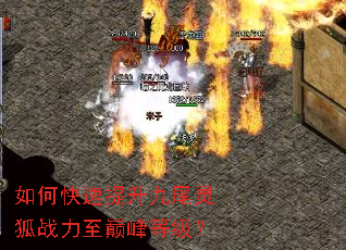如何快速提升九尾灵狐战力至巅峰等级? 如何快速提升九尾灵狐战力至巅峰等级?