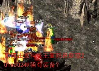 如何击败神级王重阳并获取201600249稀有装备? 如何击败神级王重阳并获取201600249稀有装备?