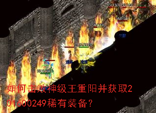 如何击败神级王重阳并获取201600249稀有装备? 如何击败神级王重阳并获取201600249稀有装备?