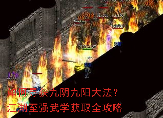 如何寻获九阴九阳大法?江湖至强武学获取全攻略 如何寻获九阴九阳大法?江湖至强武学获取全攻略