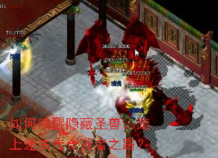 如何唤醒隐藏圣兽,踏上迷失传奇强者之路? 如何唤醒隐藏圣兽,踏上迷失传奇强者之路?