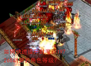 如何快速提升封魔谷197268胡斐的角色等级? 如何快速提升封魔谷197268胡斐的角色等级?