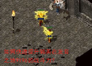 如何快速提升郭芙在发育之地9196的战斗力? 如何快速提升郭芙在发育之地9196的战斗力?