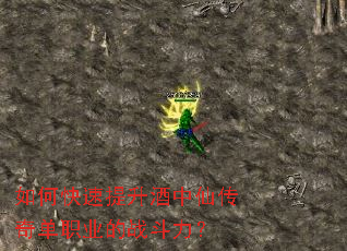 如何快速提升酒中仙传奇单职业的战斗力? 如何快速提升酒中仙传奇单职业的战斗力?