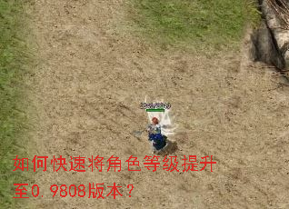 如何快速将角色等级提升至0.9808版本? 如何快速将角色等级提升至0.9808版本?