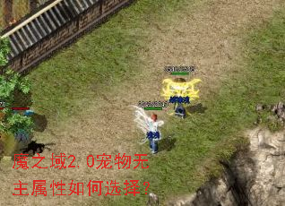 魔之域2.0宠物无主属性如何选择? 魔之域2.0宠物无主属性如何选择?