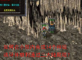如何在小屋内合成14个神级魂环并顺利通过三大陆爬塔? 如何在小屋内合成14个神级魂环并顺利通过三大陆爬塔?