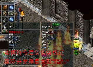 如何将专属装备熔炼进血脉并发挥最大效果? 如何将专属装备熔炼进血脉并发挥最大效果?